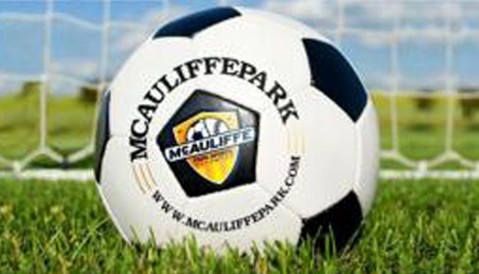 image of a soccer ball with a soccer net in the background